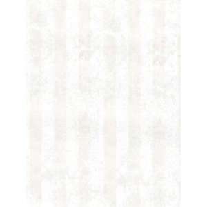Wallpaper Washington Wallcovering the Black & White Difference BWD450