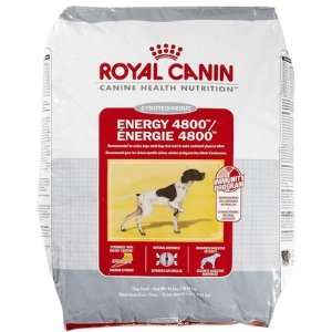  Royal Canin Medium   Energy 4800   40 lb (Quantity of 1 