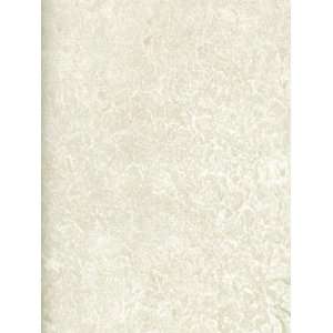  Wallpaper York the Perfect Faux tPF10191