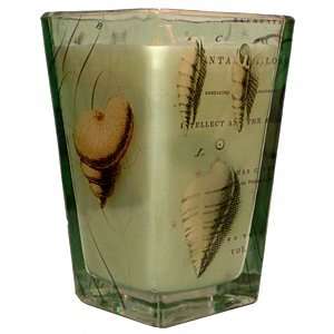  Fringe Studio Sea Shell Style Candle In Green Tinted Glass 