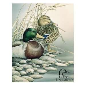  Ducks Unlimited Duck Hunting tin sign #1040 Everything 