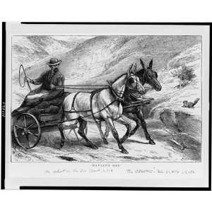  Hauling ore / Horace Harral sc. 1874,The Graphic