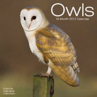 Owls 2012 Wall Calendar #30134 12