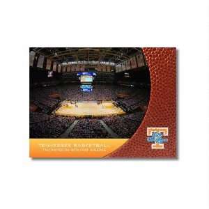  Lady Vols in Thompson Boling Arena  9x12 Unframed Photo by 