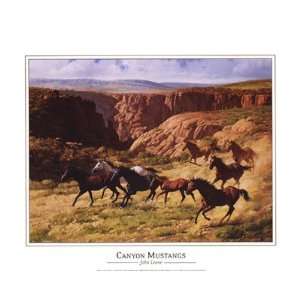    Canyon Mustangs   Poster by John Leone (20x16)