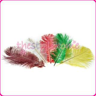 Assorted Rooster Coque Feathers Hat Mask Craft 15 color  