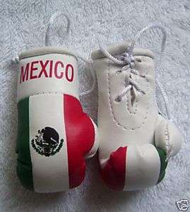 Mexico Flag Mini BOXING Gloves Cleto Reyes Grant Zepol  