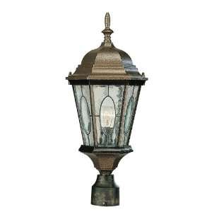  Trans Globe 4716 RT Watered Windows   One Light Outdoor 