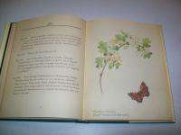 NATURE NOTES OF EDWARDIAN LADY Edith Holden 1st US  