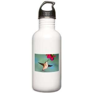   Stainless Water Bottle 1.0L Black Chinned Hummingbird 