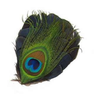 Zad Large Peacock Feather Hairclip Alligator Clip Hair  