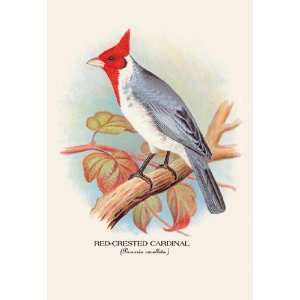   Buyenlarge Red Crested Cardinal 28x42 Giclee on Canvas