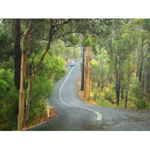  Road through Numinbah State Forest, Gold Coast Hinterland 