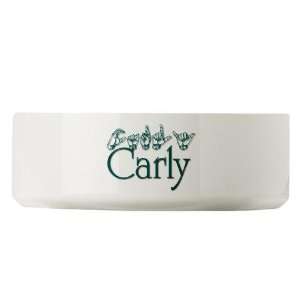  Carly teal Autism Large Pet Bowl by  Pet 