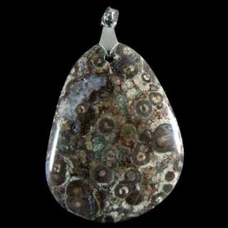 natural Fossil Crinoid Pendant bead stone e1735  