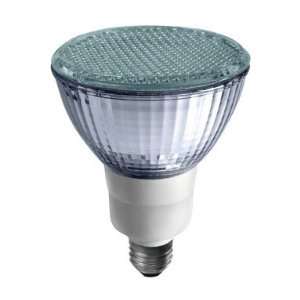   Dimmable Flat Par30 Cfl Bulb (FP319SW1BDIM)