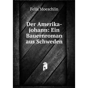   Amerika johann Ein Bauernroman aus Schweden Felix Moeschlin Books