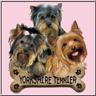 Yorkshire Terrier Puppies Bone SWEATSHIRT S XL,2X,3X,4X  