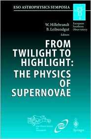 From Twilight to Highlight The Physics of Supernovae Proceedings of 