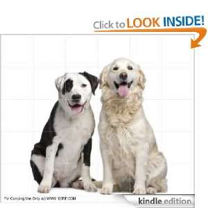 Dog Grooming, dog Care and Dog Food Linda Kane  Kindle 