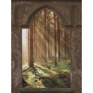  Wallpaper Brewster the Ultimate Mural Book Mystic Forest 