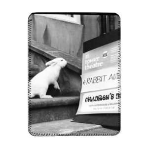  A rabbit goes for a theatre audition   iPad Cover 