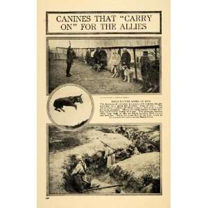  1918 Print Canines Allies Dogs War Trench Red Cross 