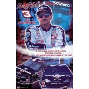   Earnhardt (Stats) Gold Wood Mounted Sports Poster Print   24 X 36