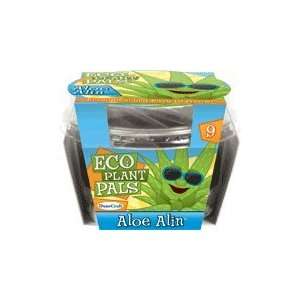  DuneCraft Eco Plant Pals   Aloe Alin