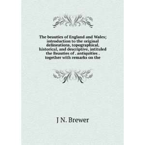   of . antiquities . together with remarks on the J N. Brewer Books