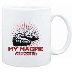   Magpie is more intelligent than your pet  Animals