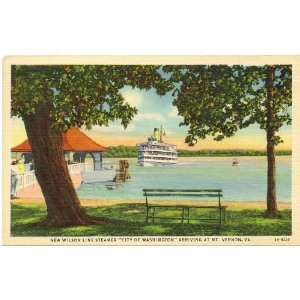  1940s Vintage Postcard Wilson Line Steamer, City of 