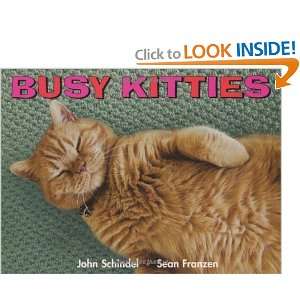  Busy Kitties (A Busy Book) [Board book] John Schindel 