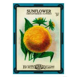 Sunflower Seed Packet Giclee Poster Print