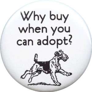  Adopt