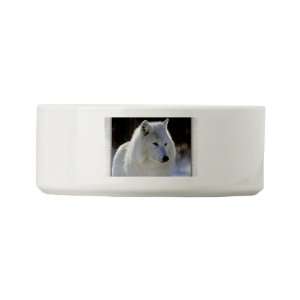  Dog Cat Food Water Bowl Arctic White Wolf 