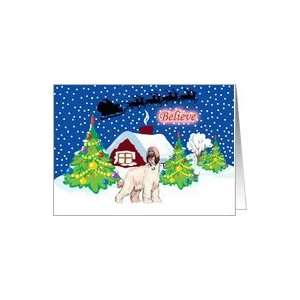  Believe Afghan Hound Christmas Card Card Health 