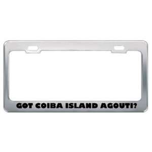 Got Coiba Island Agouti? Animals Pets Metal License Plate Frame Holder 