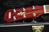 Yamaha APX500 Thinline Acoustic/Elec Guitar in Natural w/ BONUS Hard 