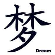 Dream Chinese Symbol self expression temp tattoo, pkg 5  