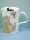   ENGLAND BONE CHINA MUGS CATS GALORE & KITTENS LOVERS  very good