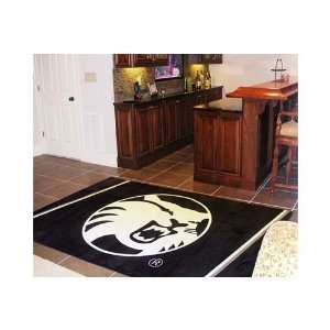 Cal State Chico Wildcats 5x8 Rug 
