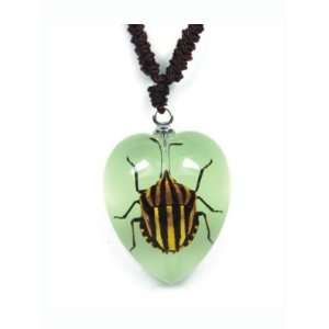  Real Insect Necklace Red striped Stink Bug   Glows (Small 