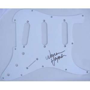  Warren Haynes Signed Fender Strat Pickguard PROOF COA 
