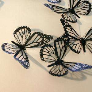 B001CB   12 Black Monarch Butterflies with Clear Wings  