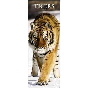  Tigers 2010 Slimline Wall Calendar