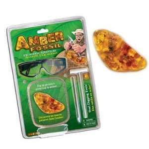  I Dig Bugs Amber Fossil Excavation Toys & Games