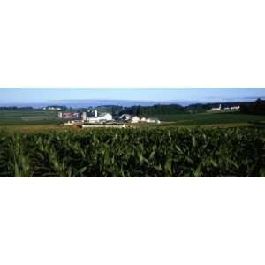  Amish Farm, Lancaster, Pennsylvania, USA by Panoramic 
