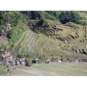  Spectacular Amphitheatre of Rice Terraces Around Mountain 