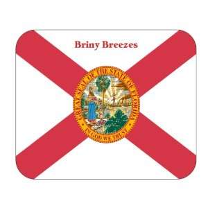  US State Flag   Briny Breezes, Florida (FL) Mouse Pad 